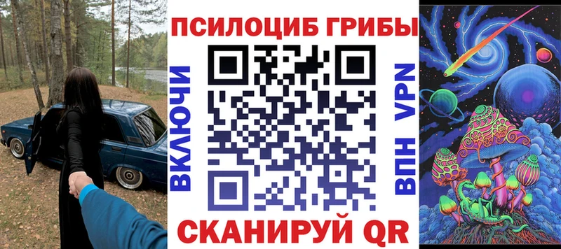 Псилоцибиновые грибы Cubensis  Азнакаево 